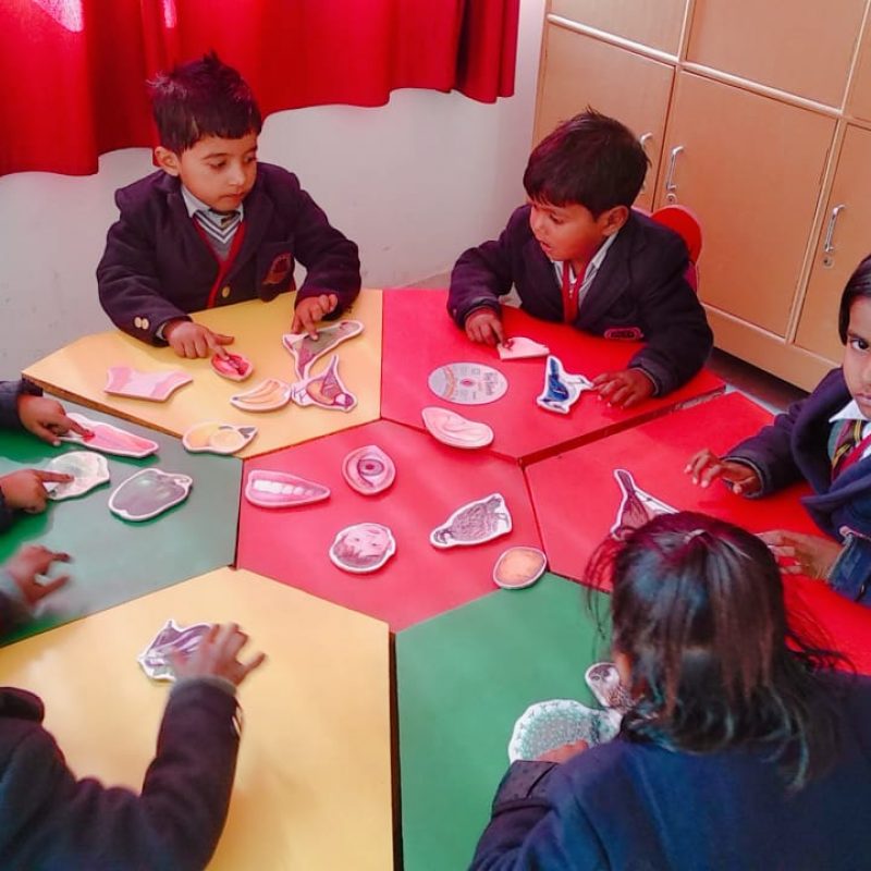 AB International School — photo 7