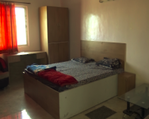 DAV alok public school — photo 14