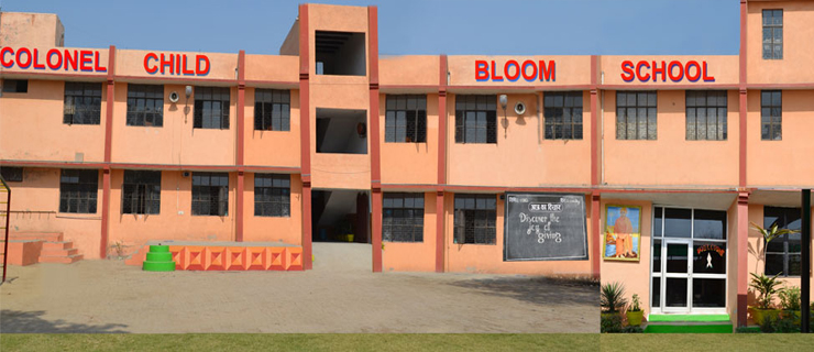 Colonel Child Bloom Sr. Sec. School Delhi — photo 2