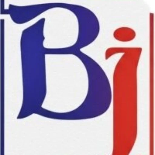 Bright Institute, Kharar logo