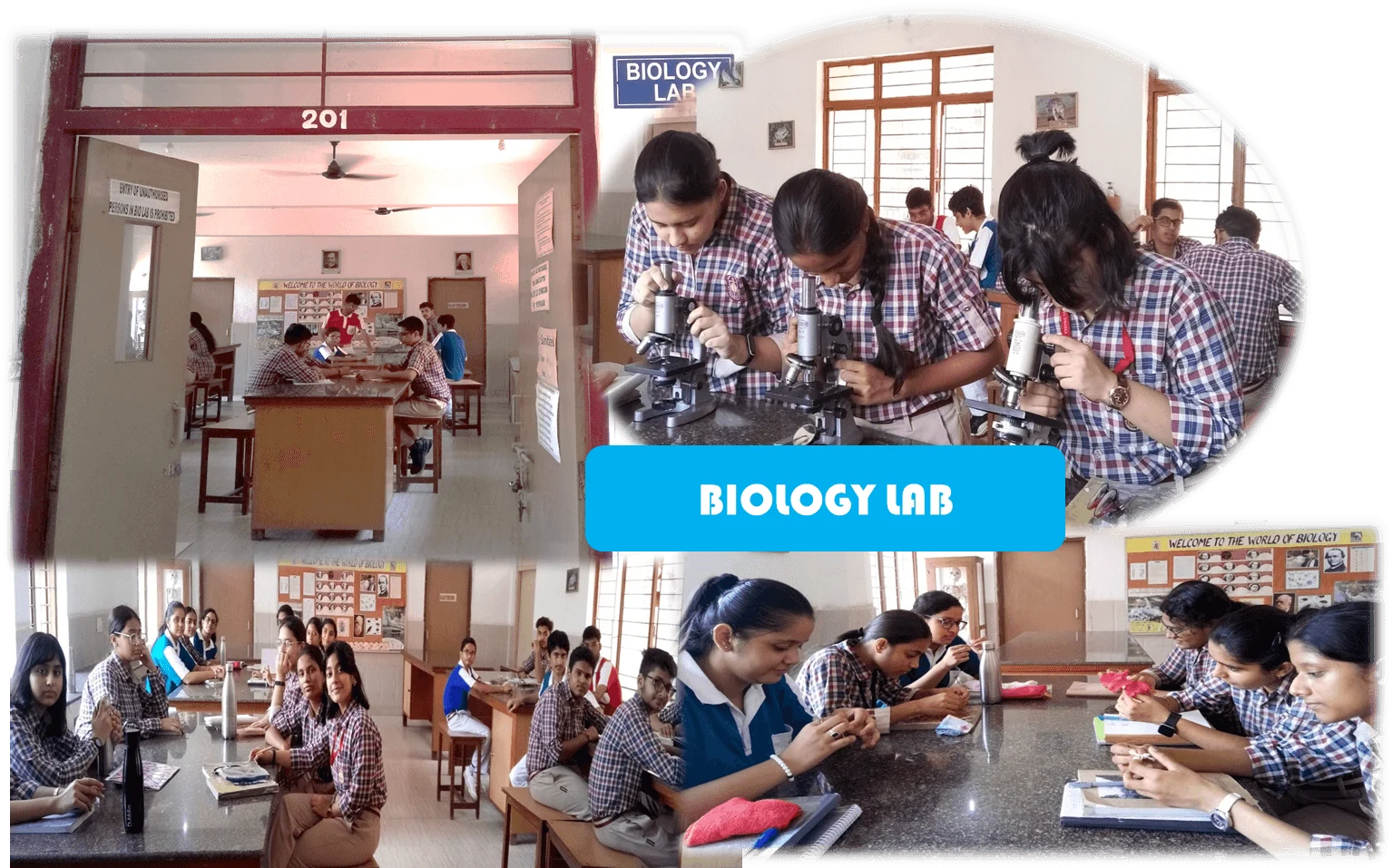 N.K. Bagrodia Public School Delhi — photo 3