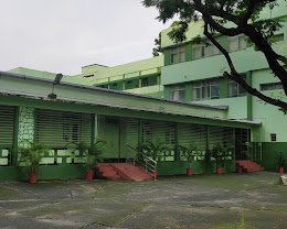 Little Flower School
