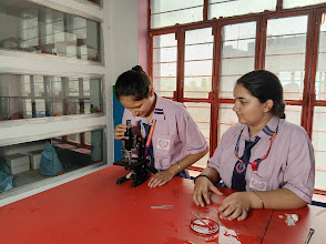 Delhi Vidyapeeth, Shiv Colony, Sonipat — photo 5