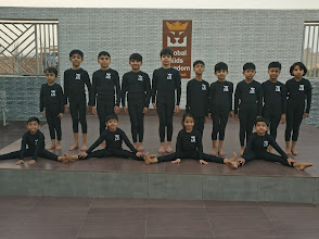 Vidya Shree International School, Rohtak — photo 2