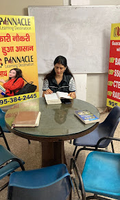 Pinnacle Learning Destination, Noida — photo 5