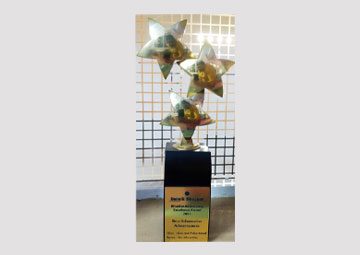 Excellence Award by Dainik Bhaskar — held by Gian Jyoti Global school