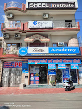 Sheel Institute