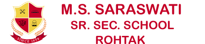 M.S. Saraswati Sr. Sec. School, Rohtak logo