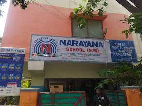 Narayana e-Techno School, Stonehouse pet