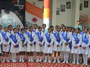 Model School Sec 4, Rohtak — photo 4