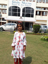 Shishu Niketan Model Sr. Sec. School — photo 4