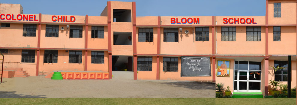 Colonel Child Bloom Sr. Sec. School Delhi — photo 9
