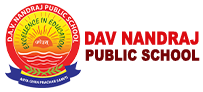 DAV Nandraj Public School logo