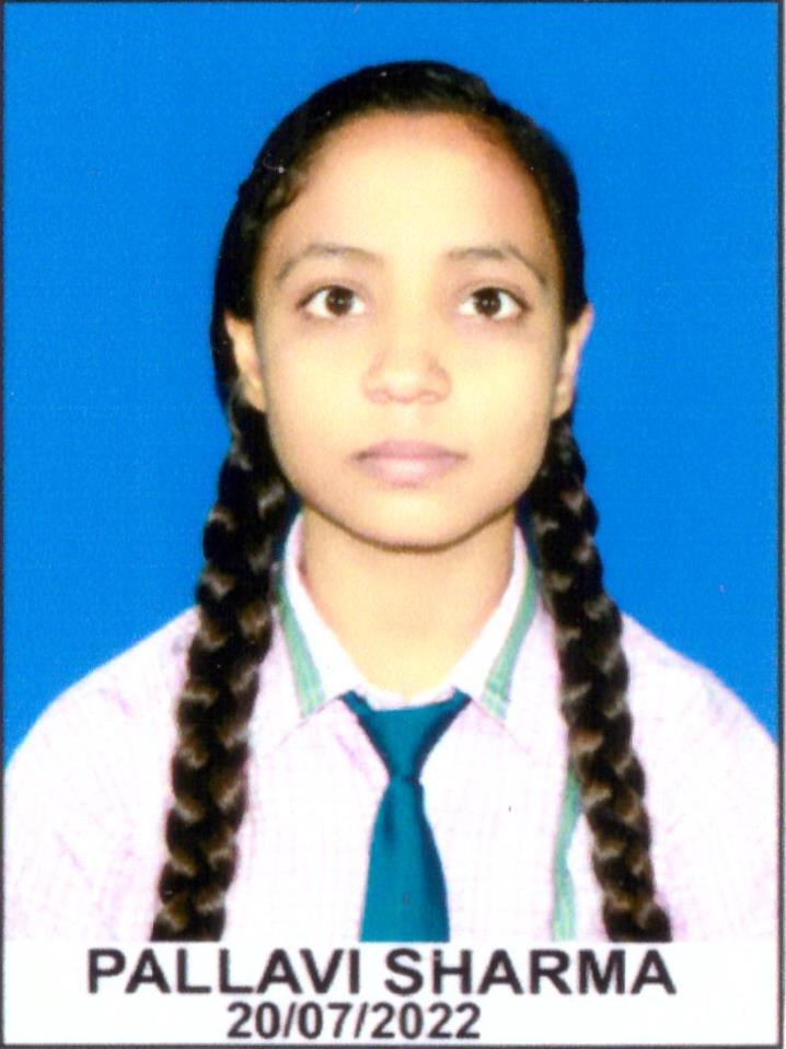 Seven Stars Academy, Mandap Toli — photo 6