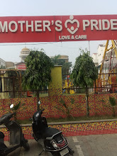 Mother's Pride, Sector-93B, Noida Expressway — photo 5