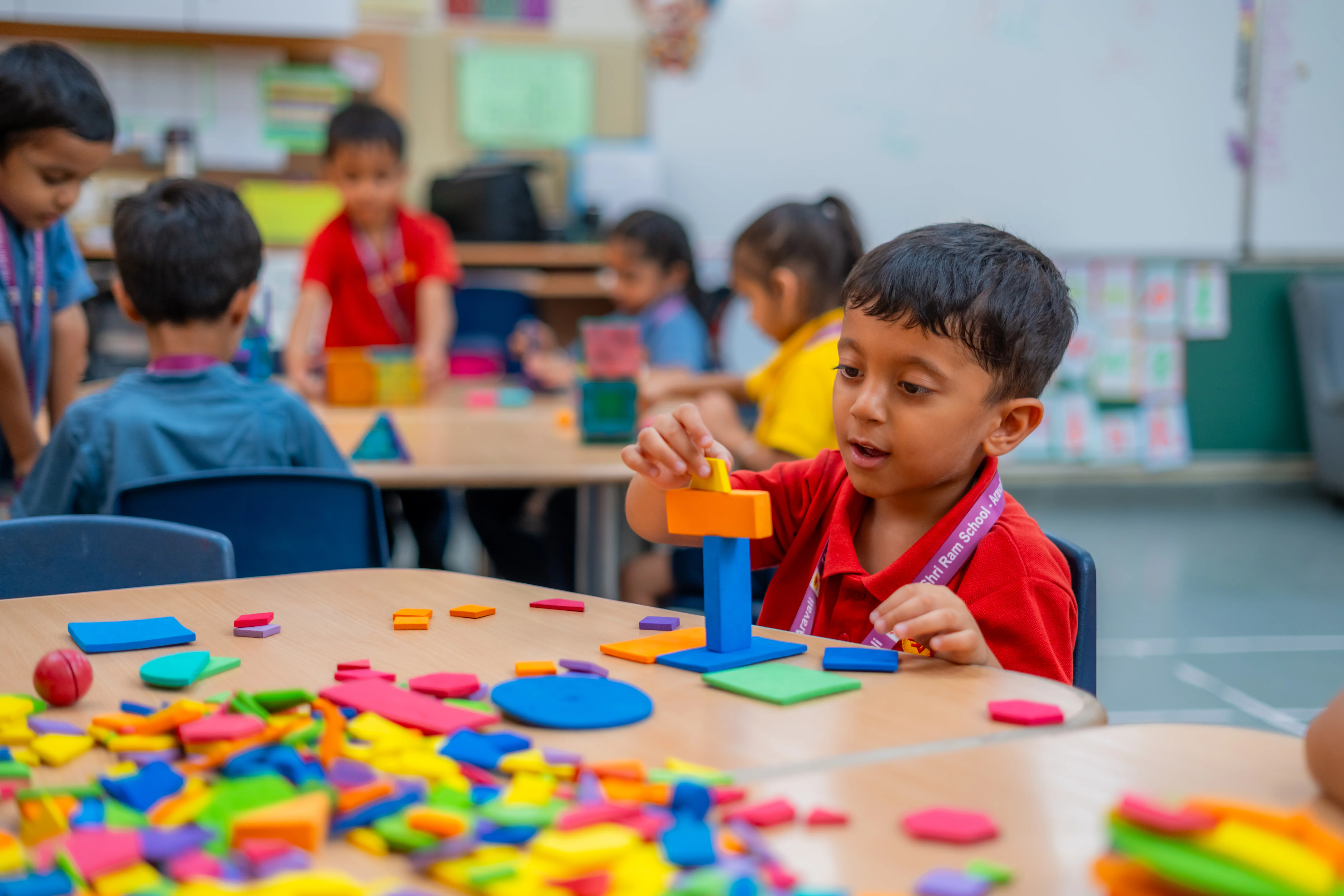 The Shri Ram School, Vasant Vihar Campus — photo 3