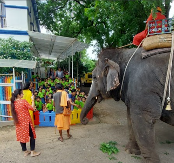 Little Millennium Preschool - Mindal, Jhabua — photo 6