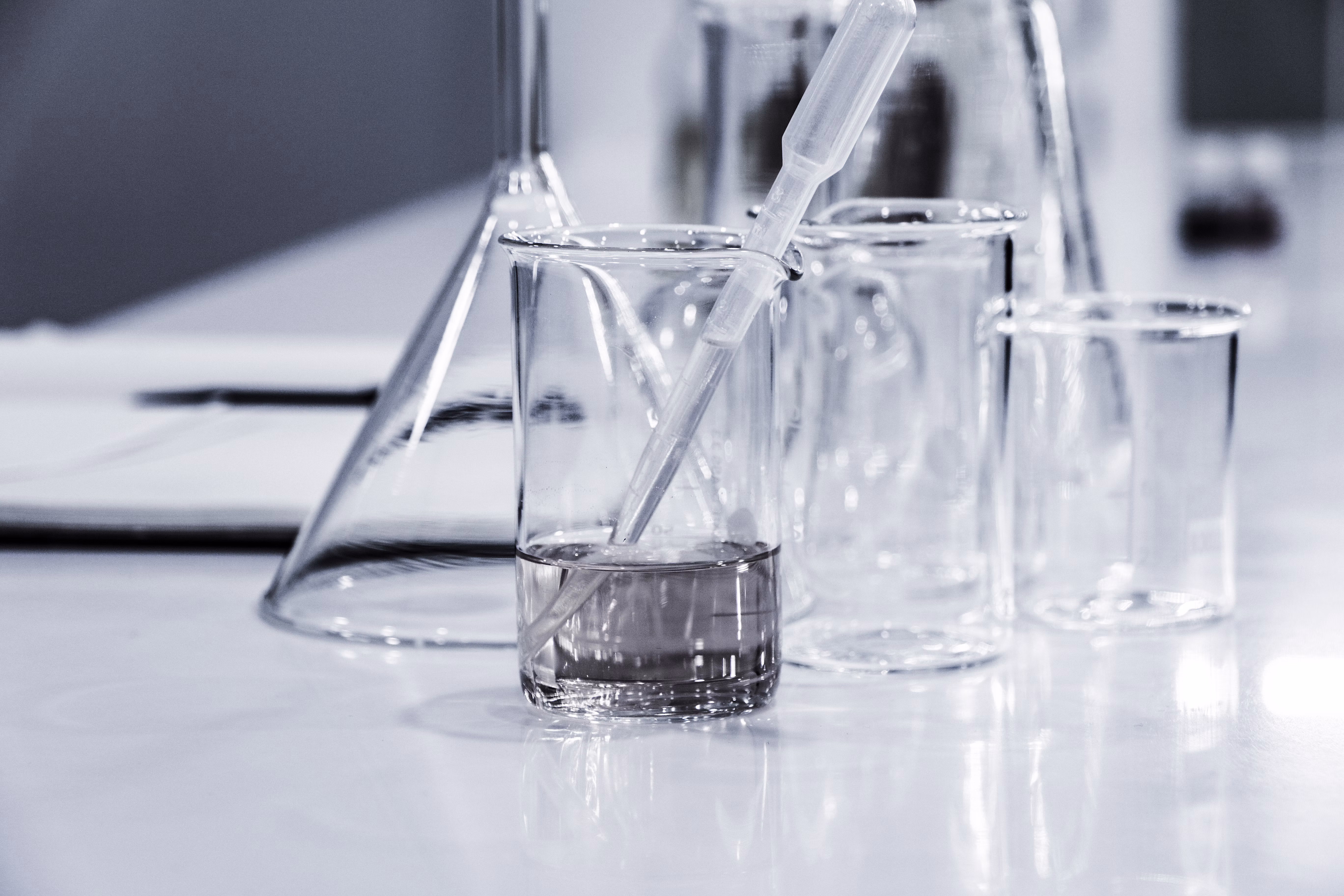 Zydus Lifesciences — alumnus of Bascom Bridge