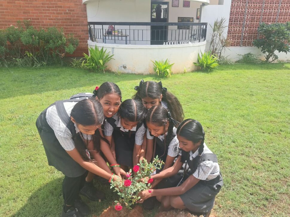 D.A.V. SM Fomra School — photo 14