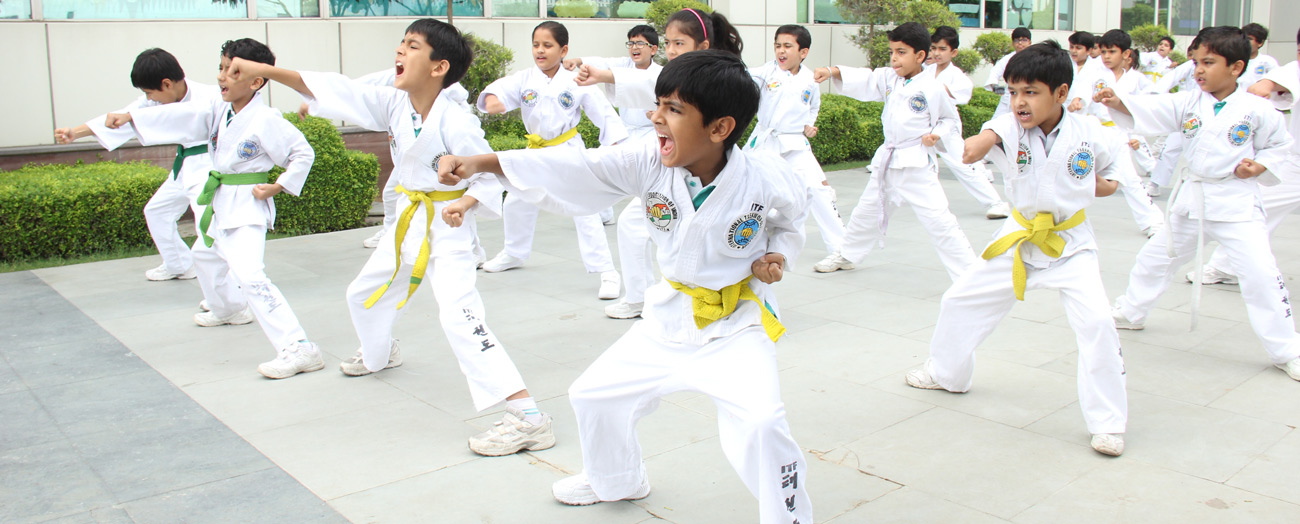 Lotus Valley International School, Gurgaon — photo 3