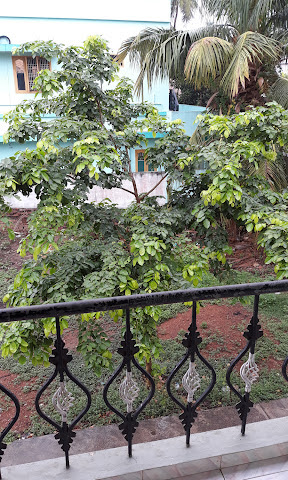 Narayana e-Techno School, Ramachandrapuram — photo 2