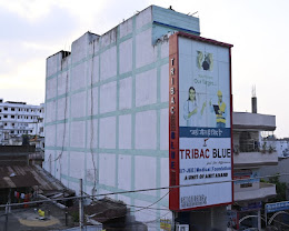 Tribac Blue,Kumhrar — photo 4