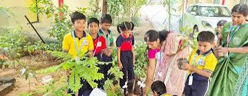 MSE Chennai — photo 8