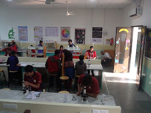 Orchids International School Newtown — photo 4