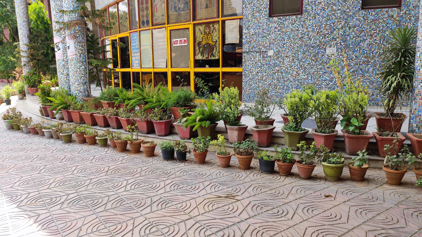 St. Lawrence Convent School, East Delhi — photo 12