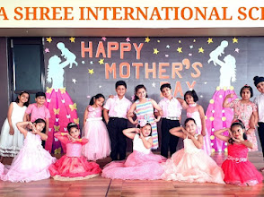 Vidya Shree International School, Rohtak — photo 3