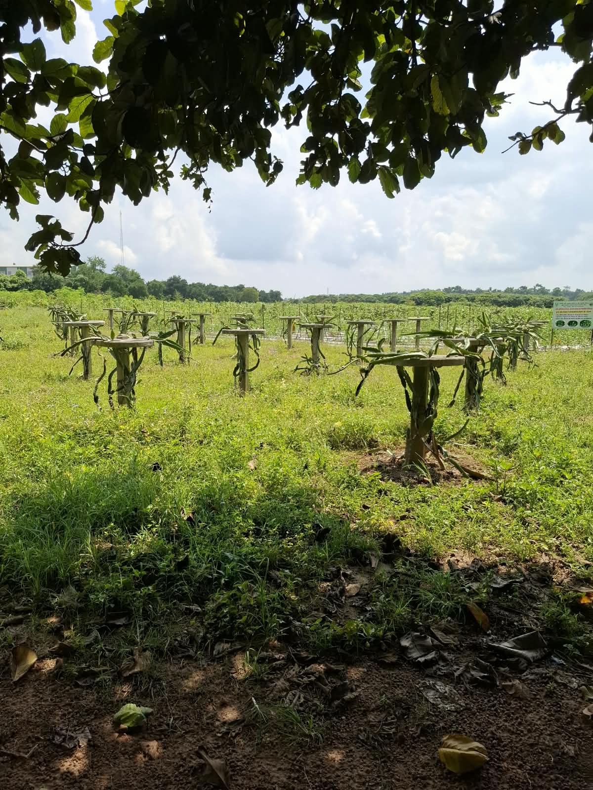 Don Bosco School, Kokar, Ranchi — photo 14