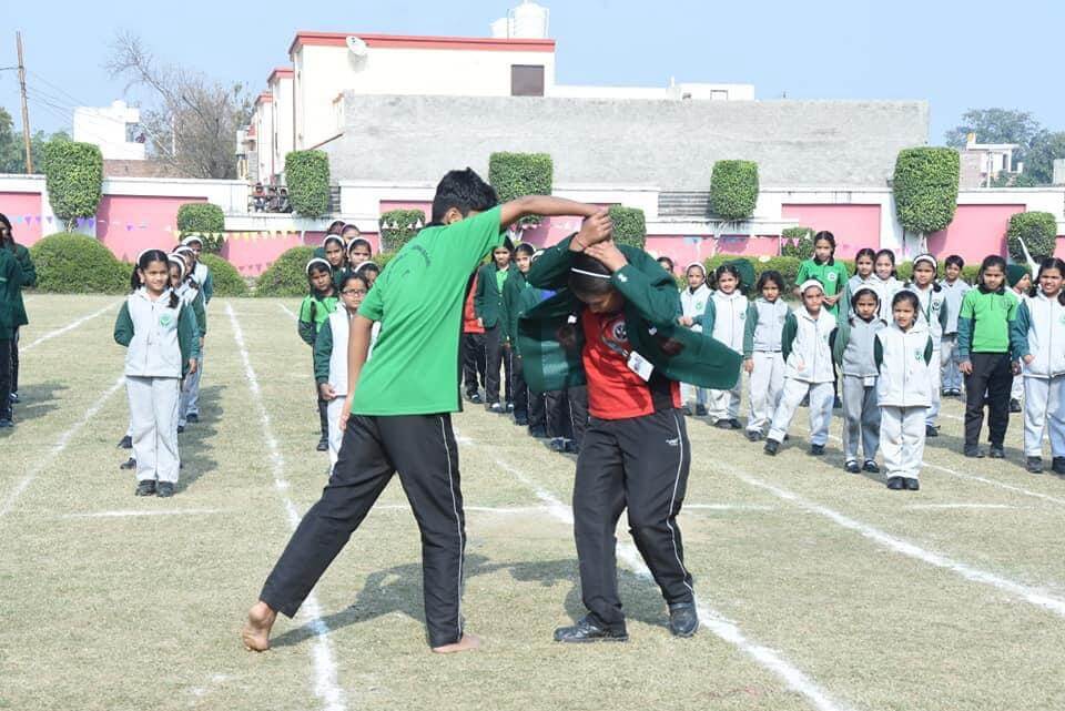 Delhi Public International School Agra, ( Dpis Agra )
