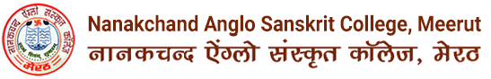 NAS College, Meerut logo
