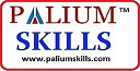 Palium Skills,Jadavpur logo