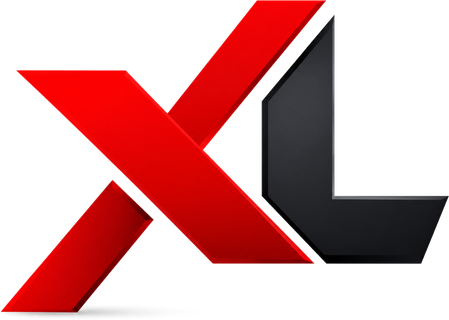 XL Computer Training Institute (XL) logo