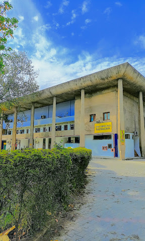 AAA Bright Academy