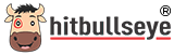 Hitbullseye: Transforming Education with Cutting Edge Technology logo