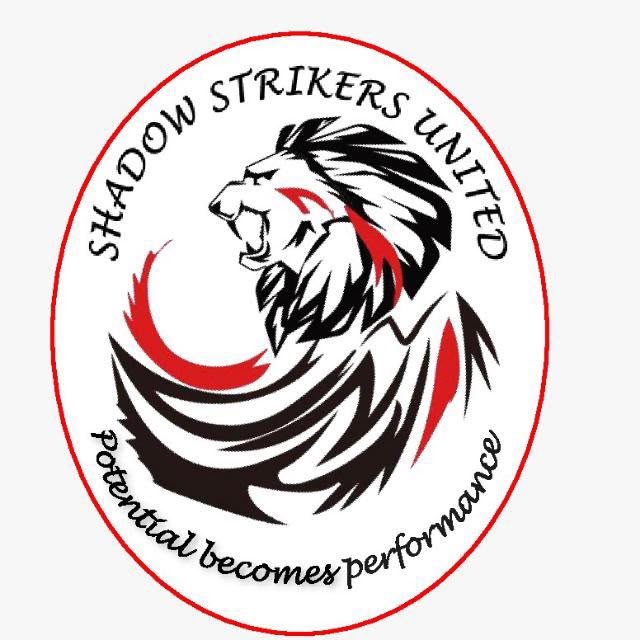 Shadow Striker United, Greater Noida logo