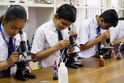 Plato Public School, East Delhi — photo 7