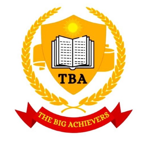The Big Achievers, Greater Noida logo
