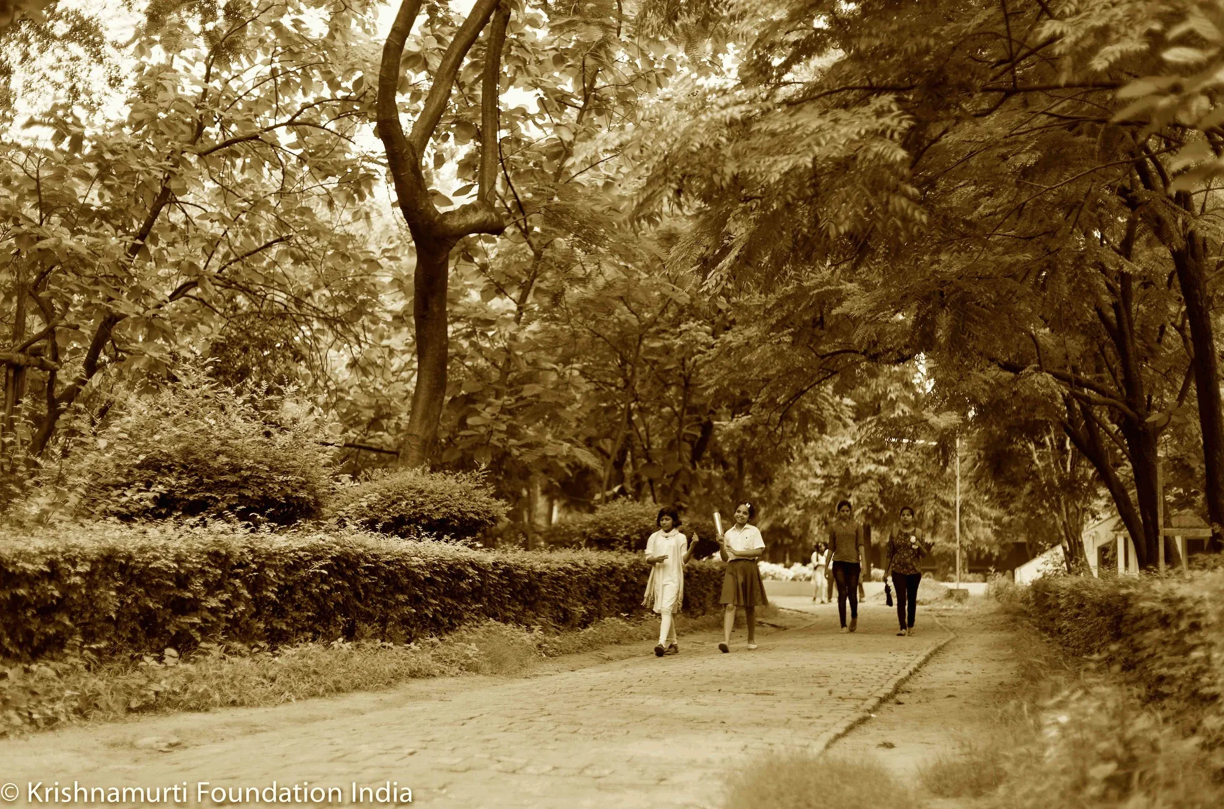 Rajghat Besant School — photo 3