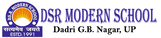 Dsr Modern School logo