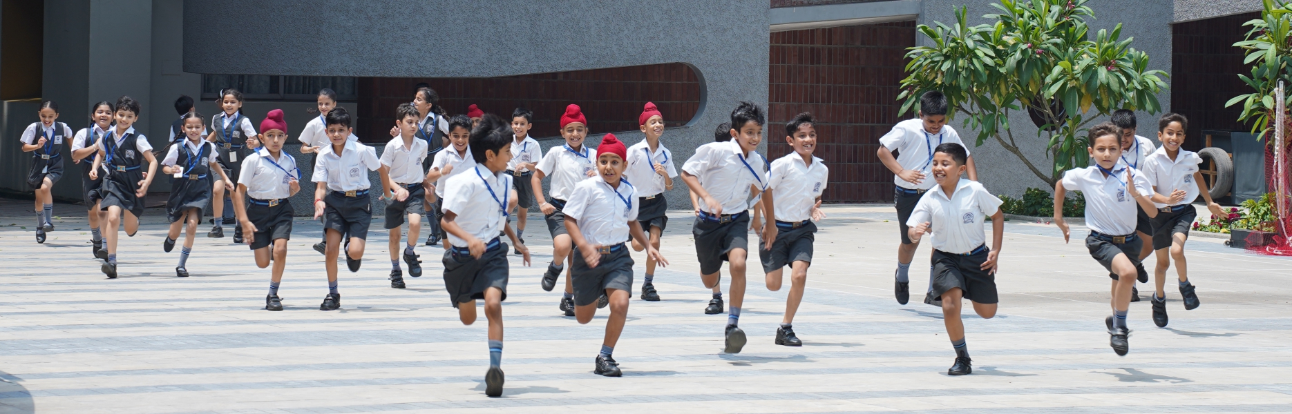 New Public School — photo 3
