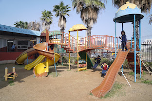 The Little Shri School — photo 3
