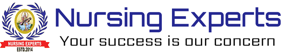 Nursing Experts logo