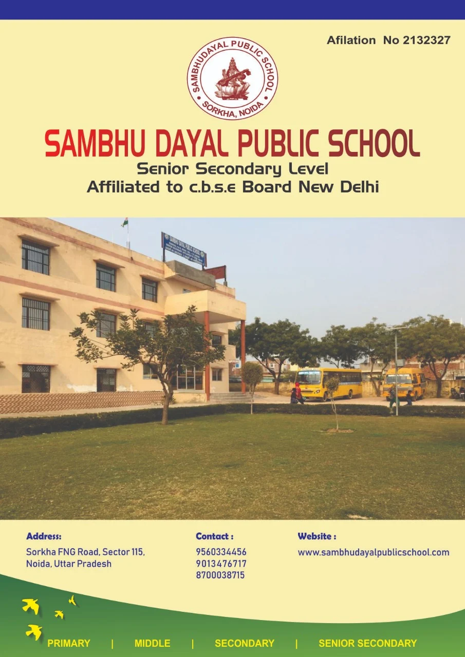 Sambhu Dayal Public School