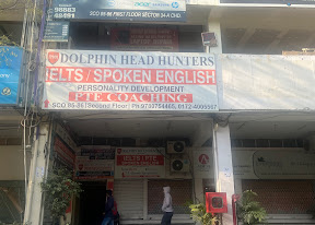 Dolphin Head Hunters, Sector 34 Chandigarh — photo 3