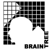 Brain Tree IAS Hyderabad logo