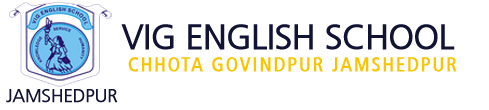 VIG English School logo
