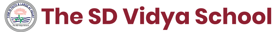 SD Vidya Schools logo